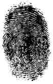 DNA_basilea1_big