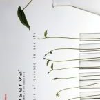 FronteCartolina_big