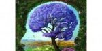 NatureImmaginate_75dpi