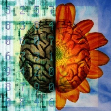 B0003920 Left and right brain function – artwork