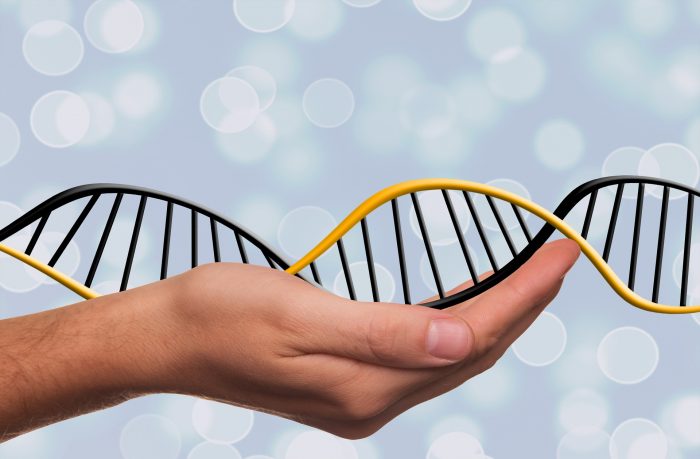 dna public