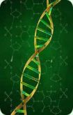 dna_big