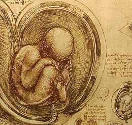 fetoLeonardo2