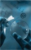 globe2_big
