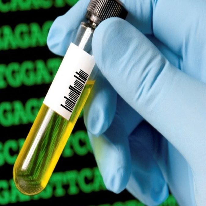 bioeconomy