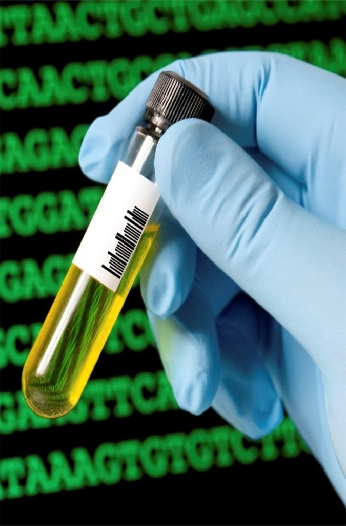 bioeconomy