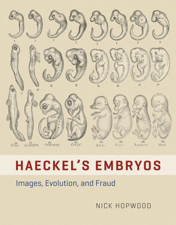 Haeckel