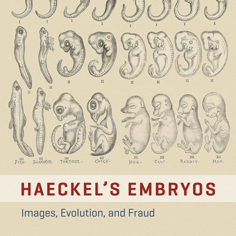 Haeckel