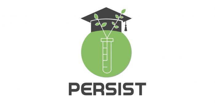 persist