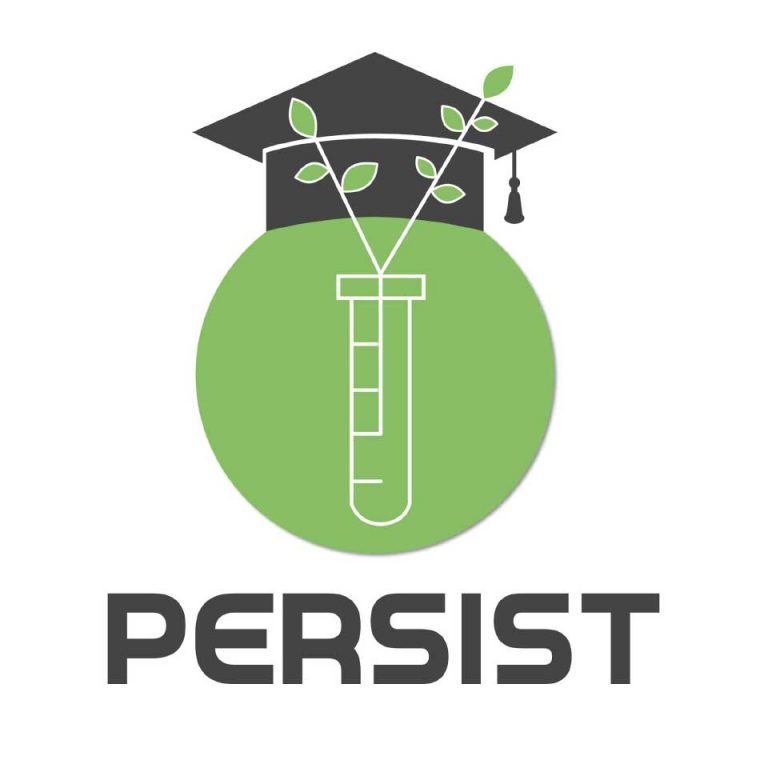 persist
