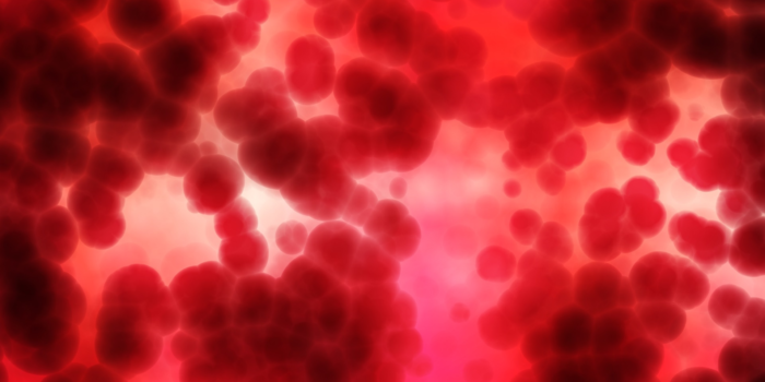 Sangue