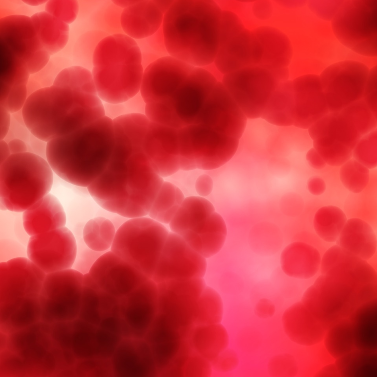 Sangue