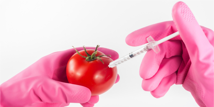 biotecnologie_responsabilità