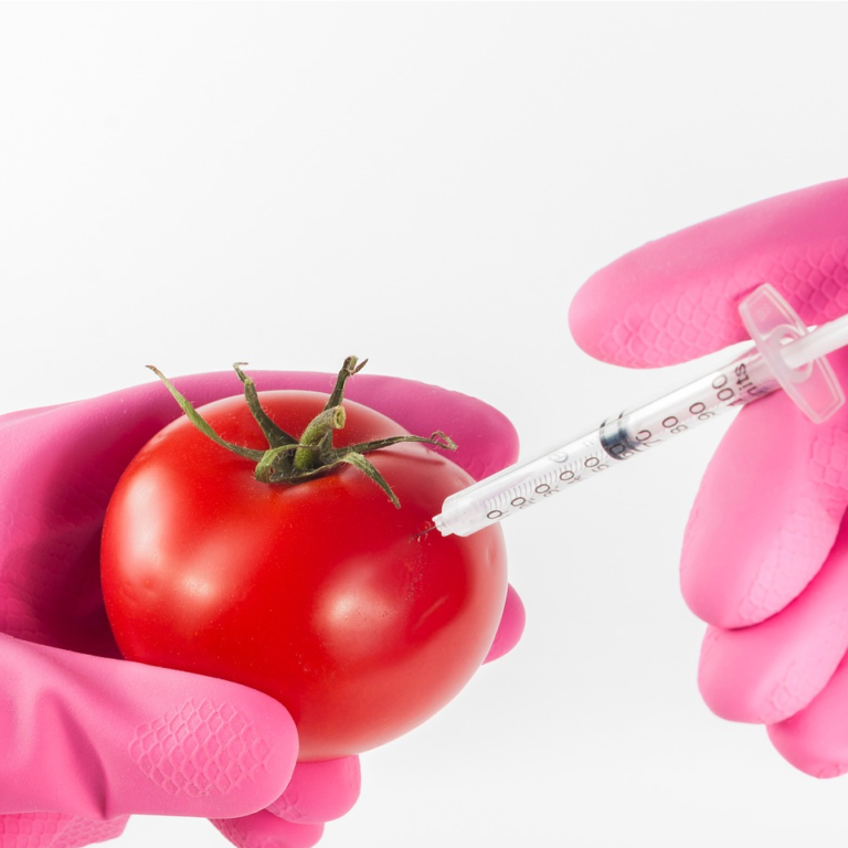 biotecnologie_responsabilità