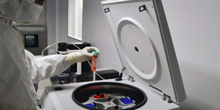 lab