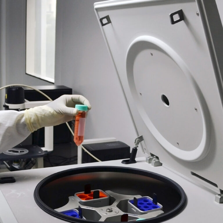 lab