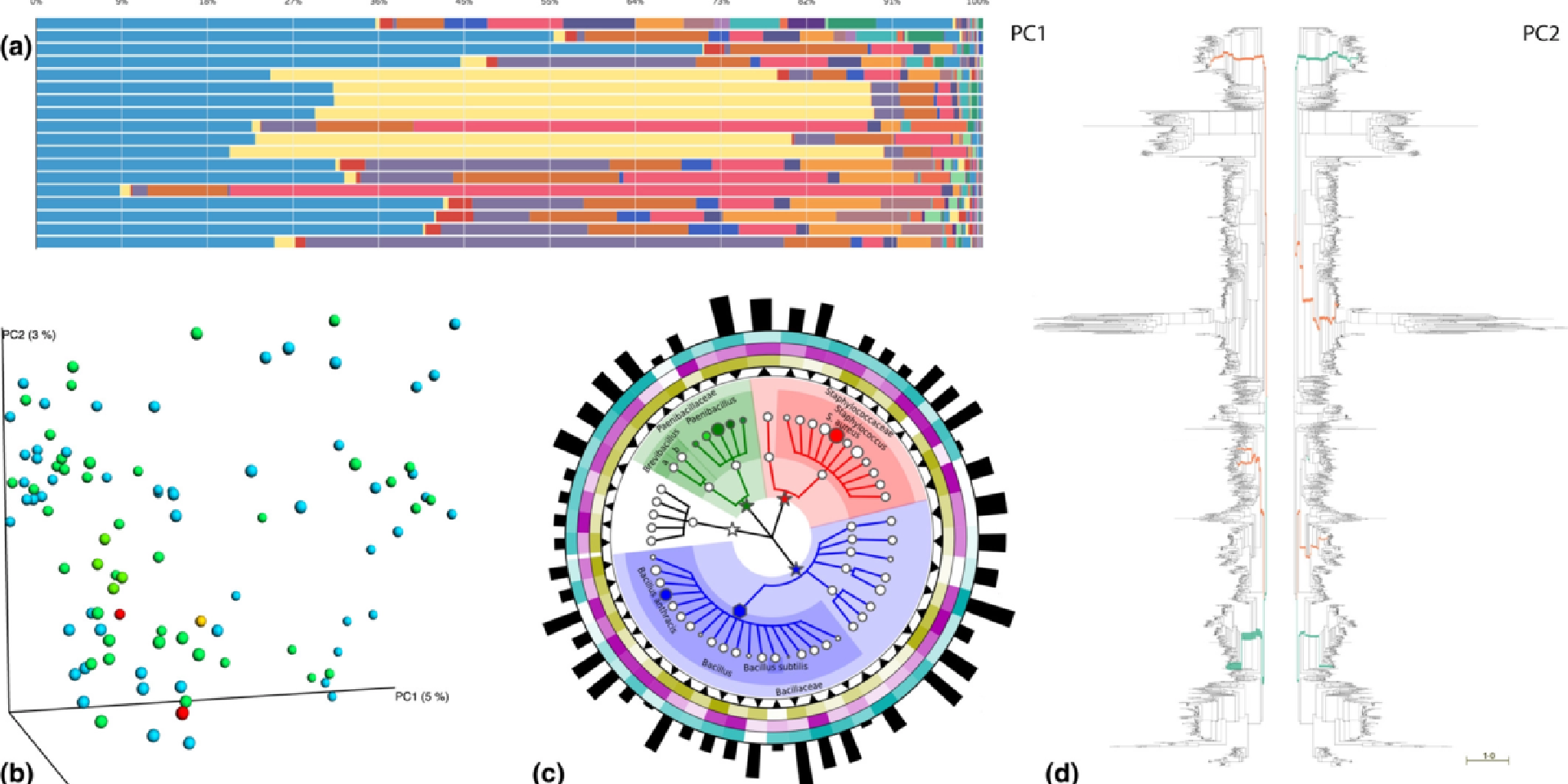 DataVisualization