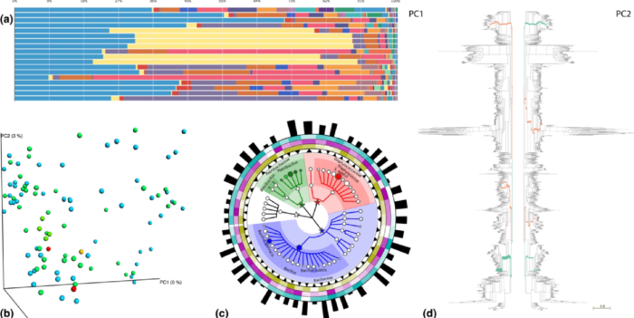 DataVisualization